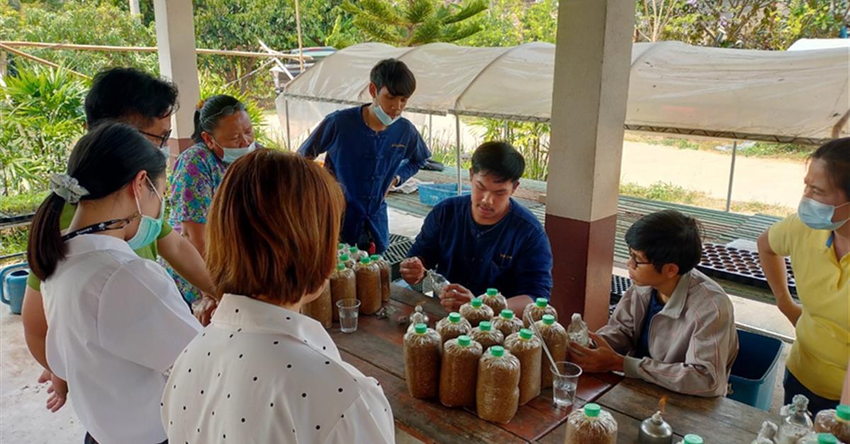 คณะเกษตรศาสตร์ฯ จัดโครงการบริการวิชาการ "การเพาะเห็ดเศรษฐกิจ"